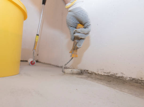 Best Residential Pest Control  in Lyons, IL